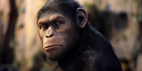 Rise Of The Planet Of The Apes 10