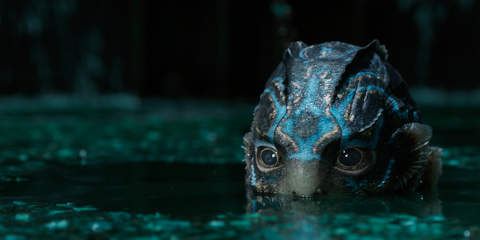 The Shape Of Water