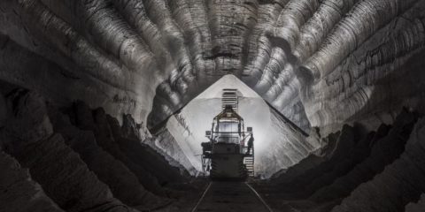 Berlinale Anthropocene