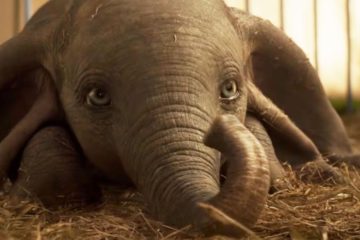 Dumbo Cover