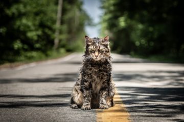 Pet Sematary 1553681455