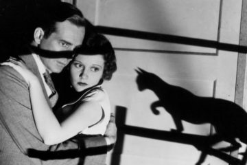 Blackcat1934
