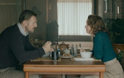 Ordinary Love LIam Neeson Lesley Manville 1200x520